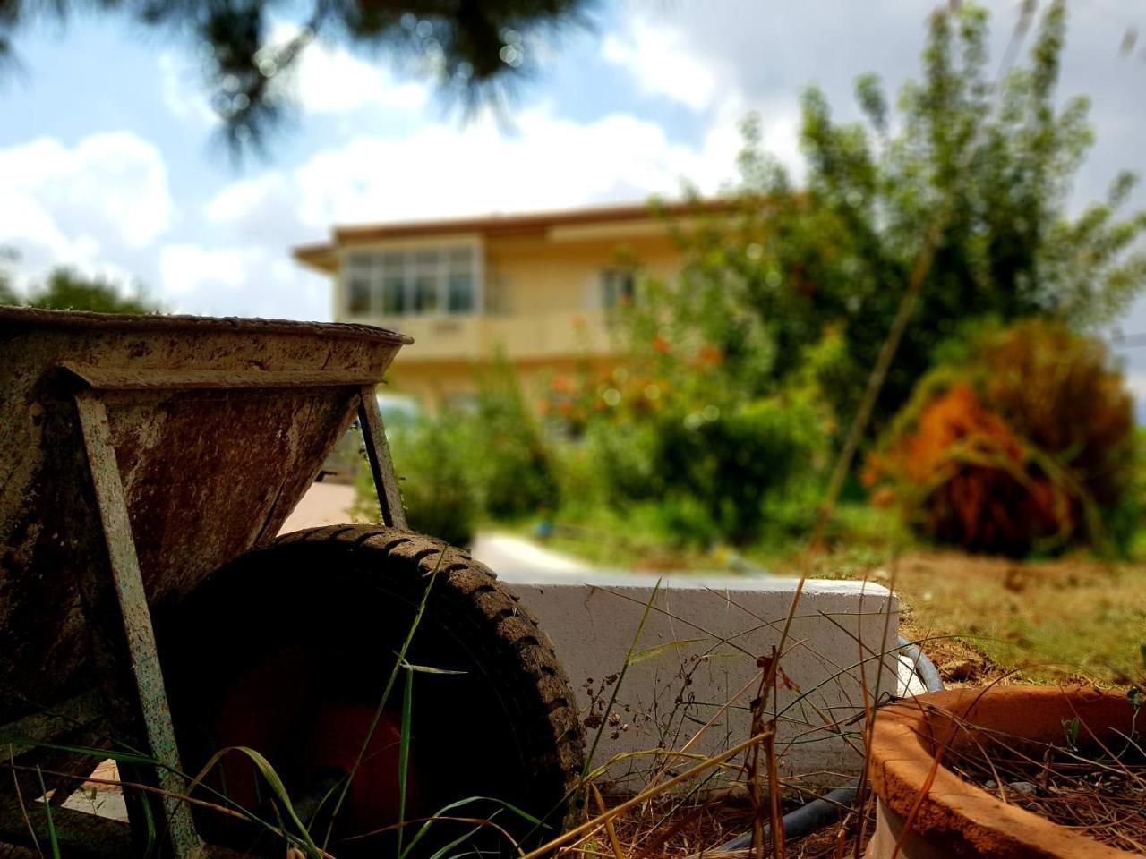Maison Kronio Lassithi Plateau Marmaketon Екстер'єр фото